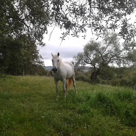 La Carnicera 3*