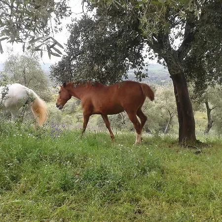 La Carnicera Pensjonat 3*