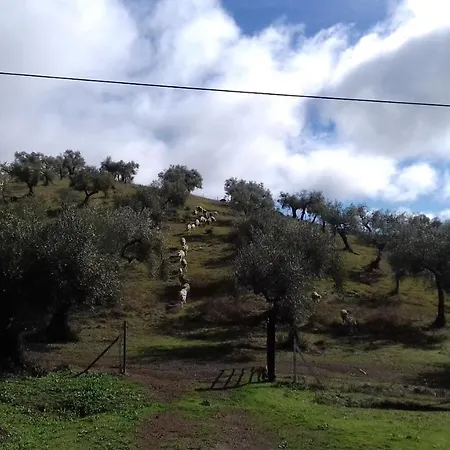 Pensjonat La Carnicera 3*