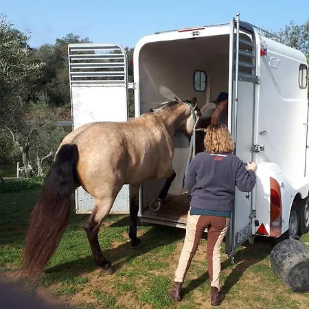 La Carnicera Pensjonat Constantina