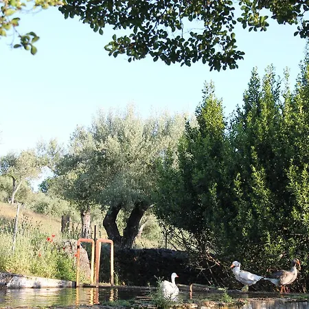 Guest house La Carnicera Constantina