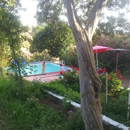 La Carnicera Guest house Constantina