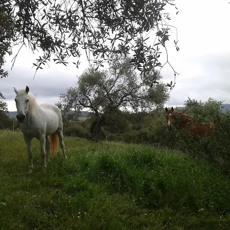 La Carnicera