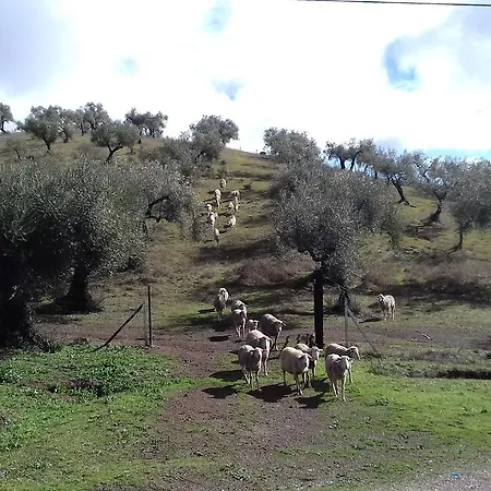 Guest house La Carnicera 3*