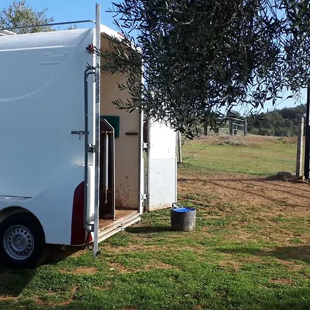 Guest house La Carnicera